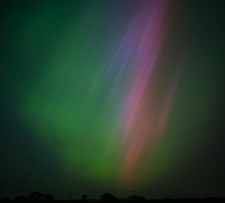 a photo of a red squirrel at a feeding station in a tree taken with a professional camera.